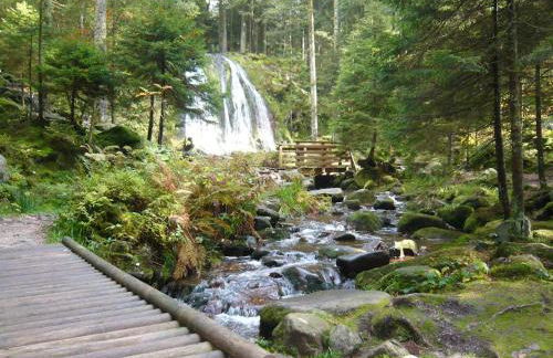 La Clémentine - Foto 36