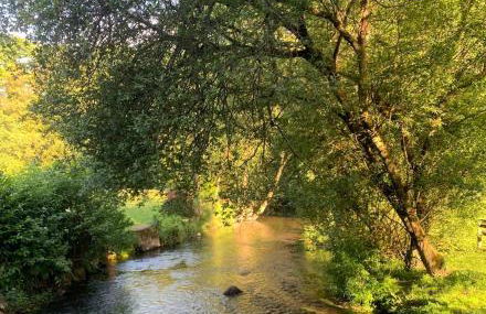 Brittany Countryside Retreat 3 Bedrooms Sleeps 6 Pet Friendly Heated Swimming Pool Free Wifi - Foto 32