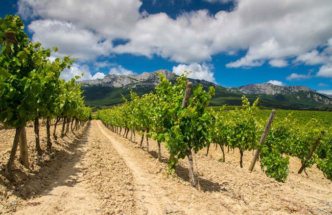 Excursión a Laguardia y Haro con visita a dos bodegas - Foto 7