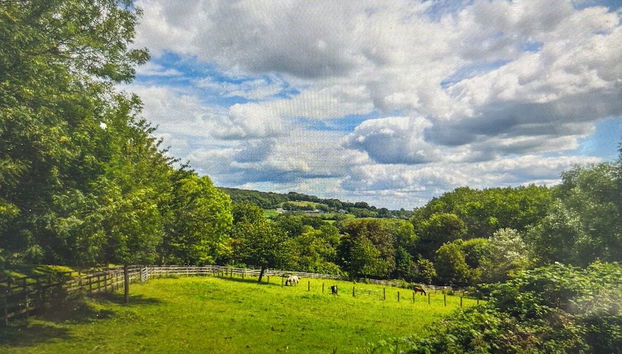 Beautiful 1-bed Secluded Cabin, With bar & Fire - Foto 3, Miscelánea