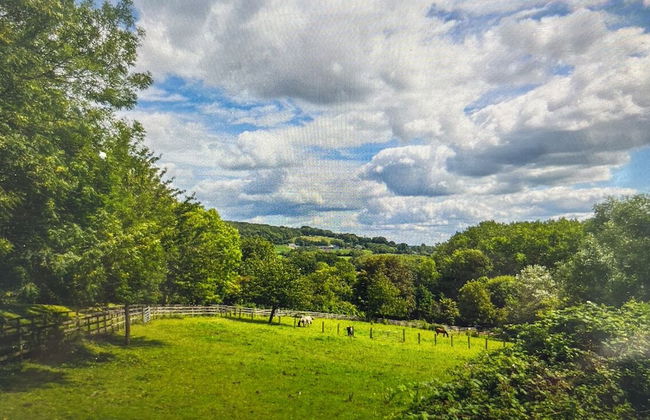 Beautiful 1-bed Secluded Cabin, With bar & Fire - Foto 3