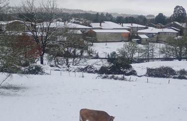 A Feitiña de Rubiacós - Foto 35