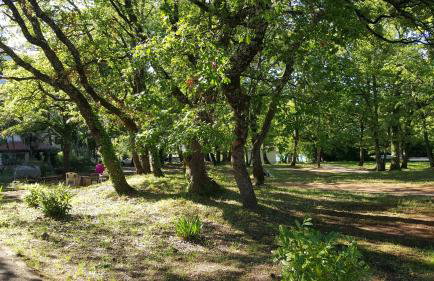 Apartment Matilda - Foto 35