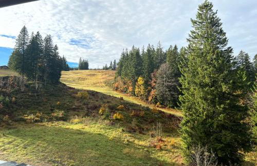 Haus Wiesenquelle, Deluxe-Apartment 'Feld & Berg' - Foto 21