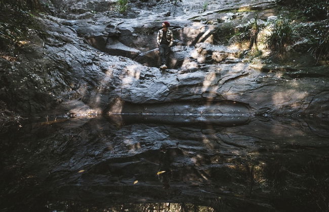 Carawirry Forest Escape - Foto 68