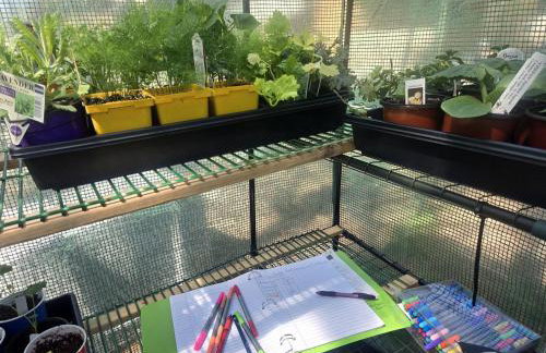 Magical Tree House Rental Nestled in the Woods on Farm Retreat near St. Louis, Missouri - Foto 33