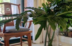 Chambao Suite Marbella Cabopino Beach - Photo 27