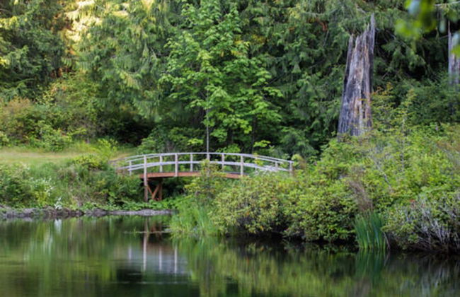 A Hidden Haven & Water Garden Cottages - Foto 54