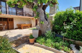 App Maria 1 - Foto 40