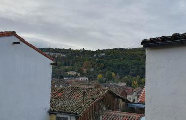 Bosque de los sauces - Photo 7