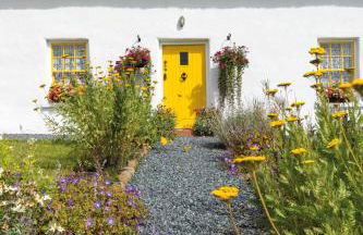 Katie's Cottage Bellaghy - Foto 6