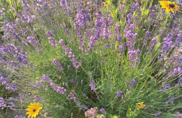 Ferienapartment 21 - Photo 27