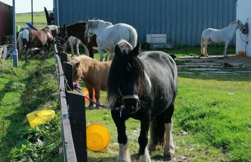 The Fisherman's Snug self catering North Uist - Foto 45