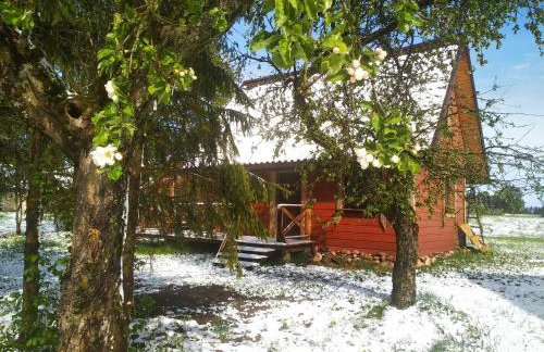 EkoStolarnia - Foto 20