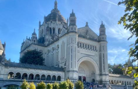 Manoir des Pavements - Photo 24