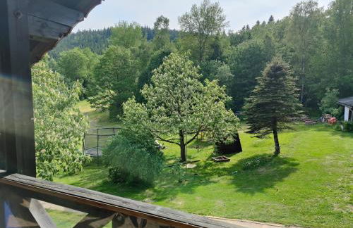 Altes Forsthaus Bodenmais - Foto 28