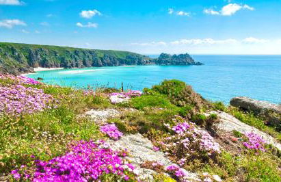 Romantic log-burner Cornish Cottage private garden dogs welcome - Photo 30