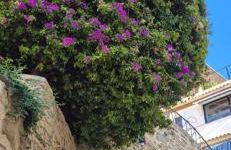 Azul del mar - Foto 76