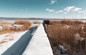 Leśna 21 Dom Południe przy PUSZCZA BIAŁOWIESKA - Foto 56