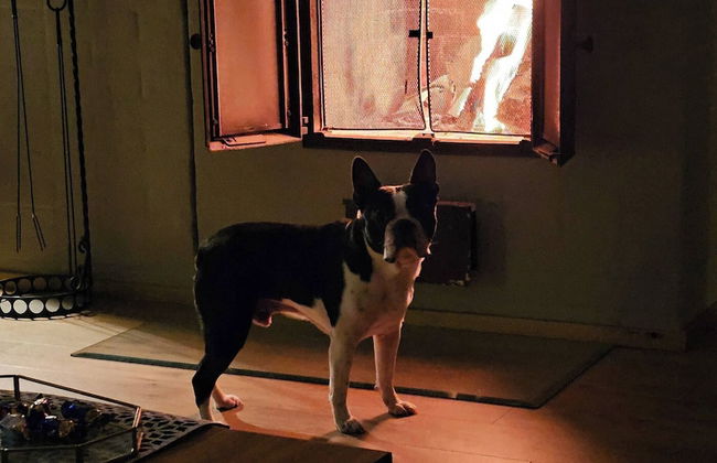 Carelian Pearl - House in Ilomantsi, Eastern Finland - Foto 11