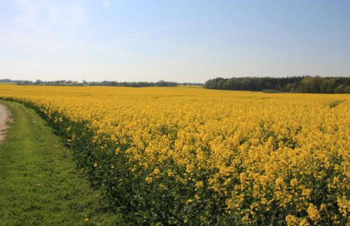 Ferienwohnung Zimmert - Photo 23