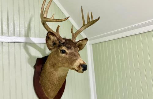 Family A-Frame, HotTub, FirePit, ClimbingWall, EVCharger, & More - Photo 59