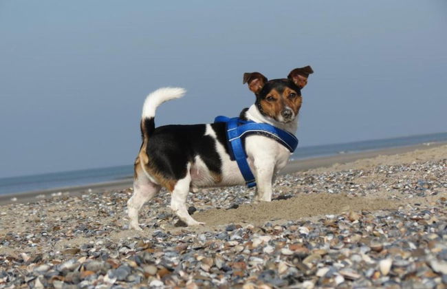 Cozy Apartment in Malinska near Sea - Foto 13