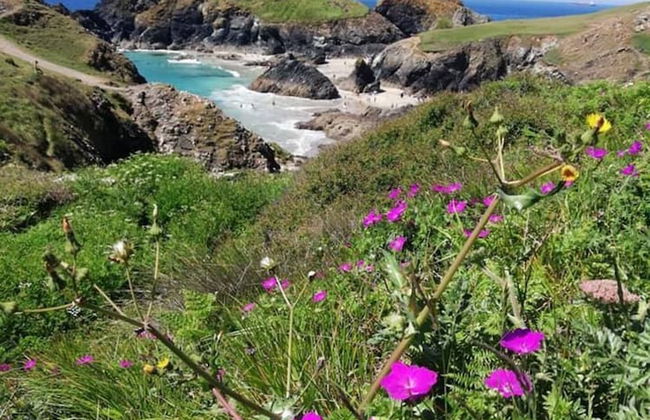 Kitty Unique 60s Caravan set in Pretty Garden - Foto 8