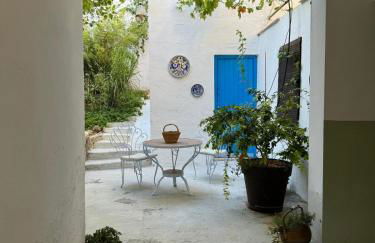 Despertar - Photo 16