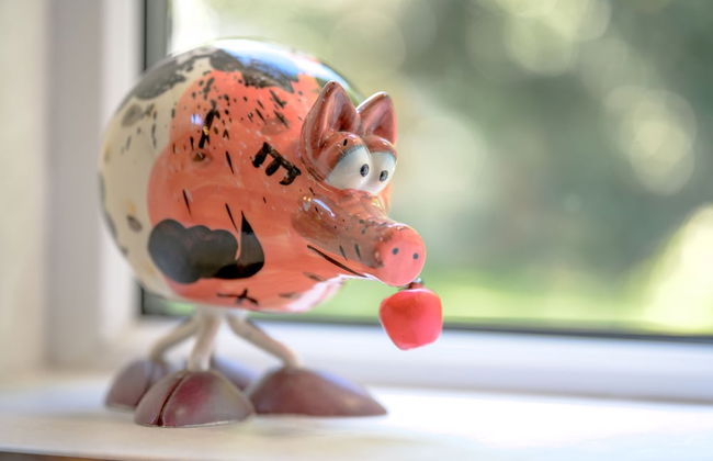 Saughall Mill Farm Cottage - Photo 40