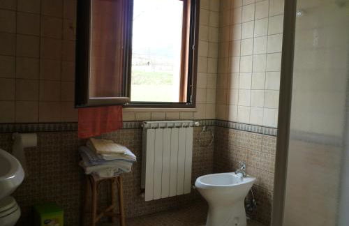 Tadinum Romana - Foto 24