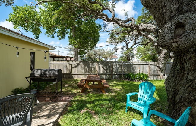 Coastal Soul - Photo 4