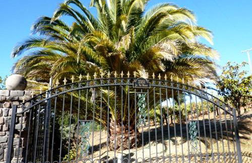 Vacation Rental with Spa and Pool on Winery near Healdsburg, California - Foto 18