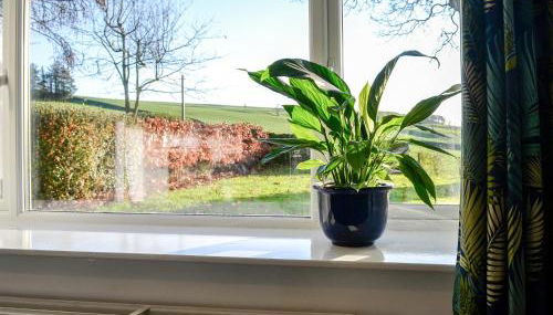 Cowar Bothy - Foto 3