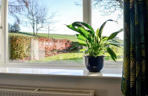 Cowar Bothy - Foto 3