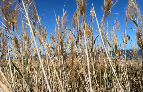 Studio Cielo- pool, wi-fi & more - Foto 15