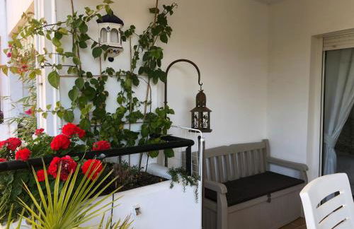 Mi Capricho - Photo 22