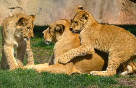 La Vista al mar de Belén - Foto 60