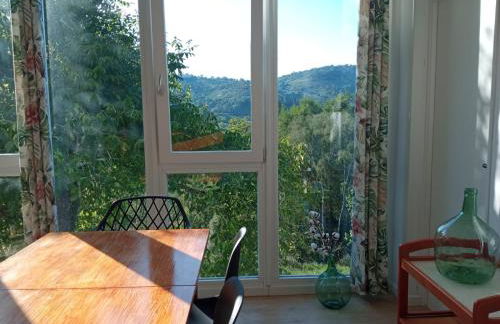 O Salgueiral - Foto 10