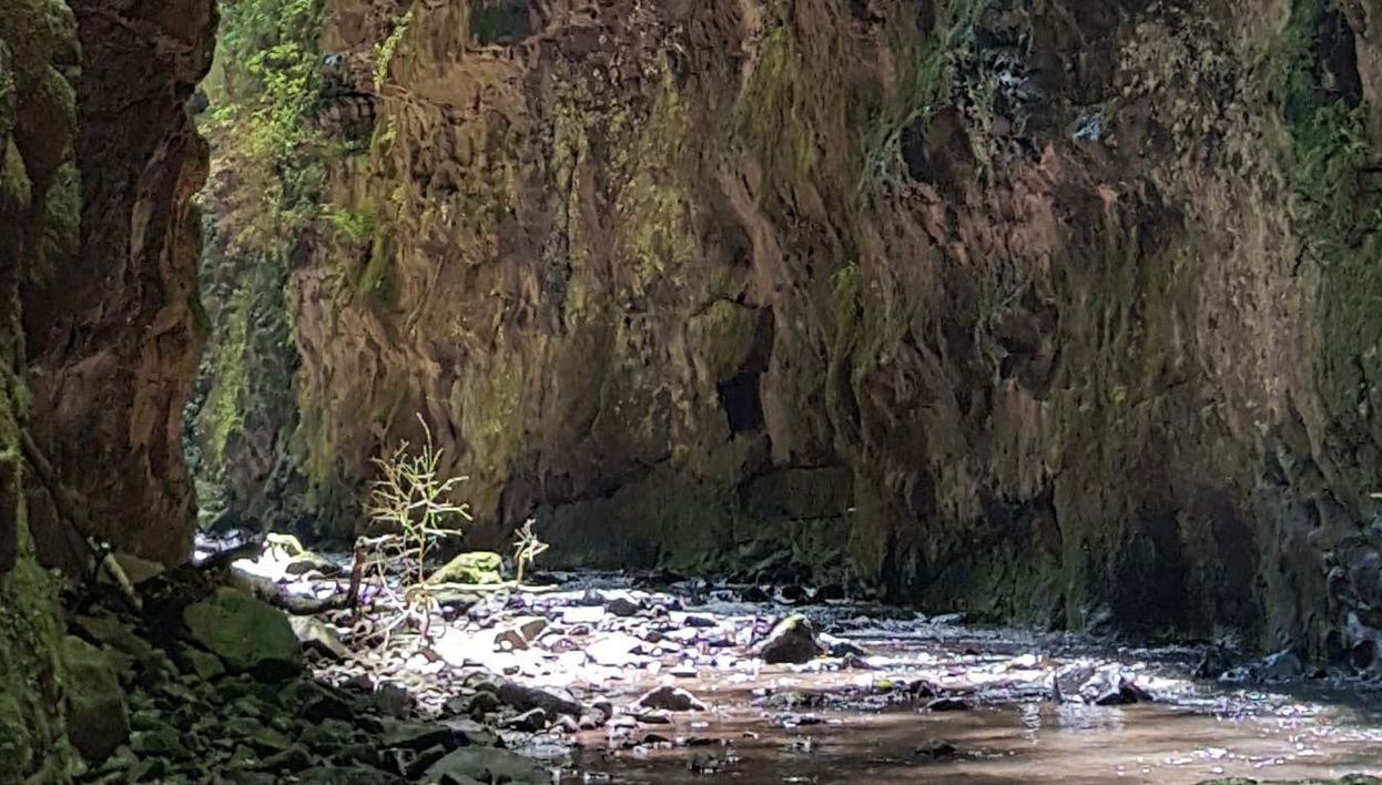 Gavião Faiado Waterfall Hiking Tour - Foto 1