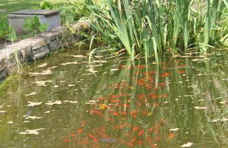 LOGIS DU GRAND PIN - Photo 45