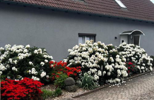 Ferienwohnung Leopold - Foto 21