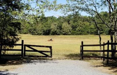 Stylish Tiny House for Glamping in South Carolina - Foto 28