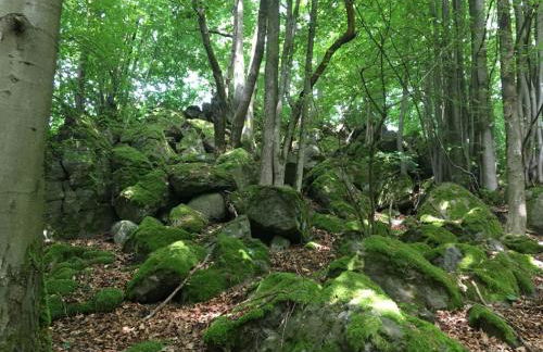 Cozy Apartment in Ellar With Garden - Foto 108