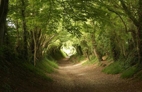 Blundens Holiday Lets - Hatfield - Photo 16