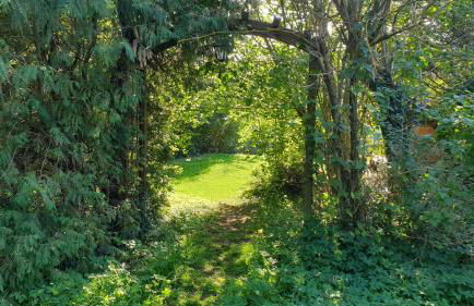 Ferienhaus mit großem Garten - Foto 20