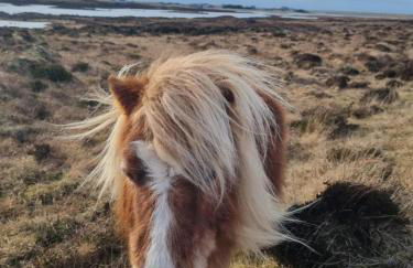 Druidibeg Cabin, Loch Druidibeg, Isle of South Uist - Foto 24