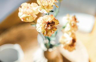 Mazury Twin House - Photo 15