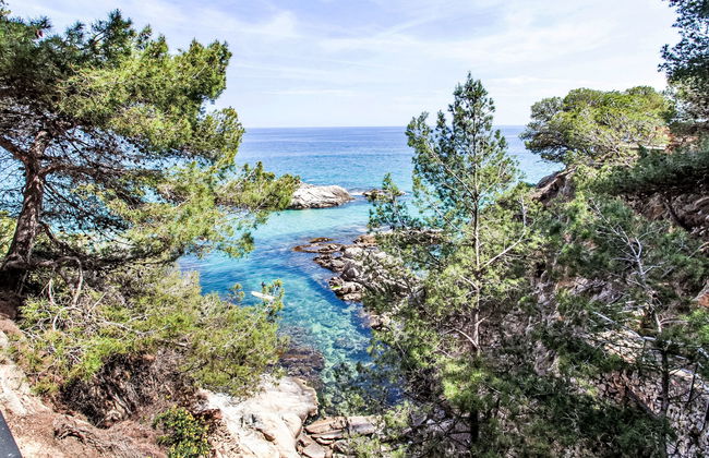 Puig Dels Daus - Foto 28