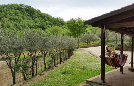 Agriturismo Pascucci - Foto 88